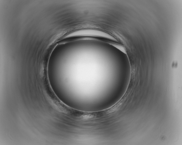 X0000091490158200709061908