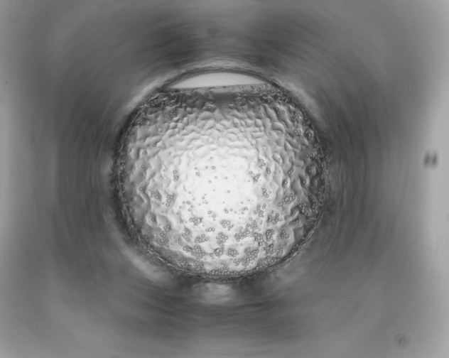 X0000091490159200709061908
