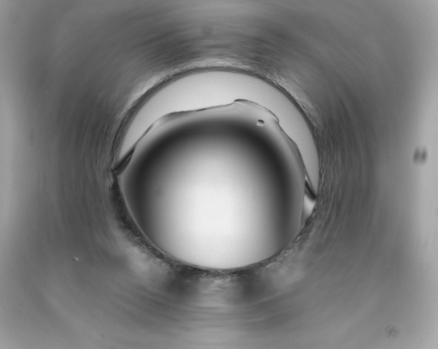 X0000091490160200709061908