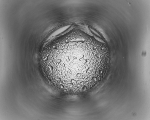 X0000091490161200709061908
