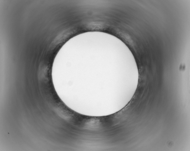 X0000091490162200709061908