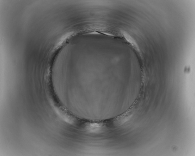 X0000091490163200709061908