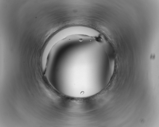 X0000091490164200709061908
