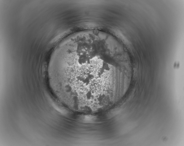 X0000091490165200709061908