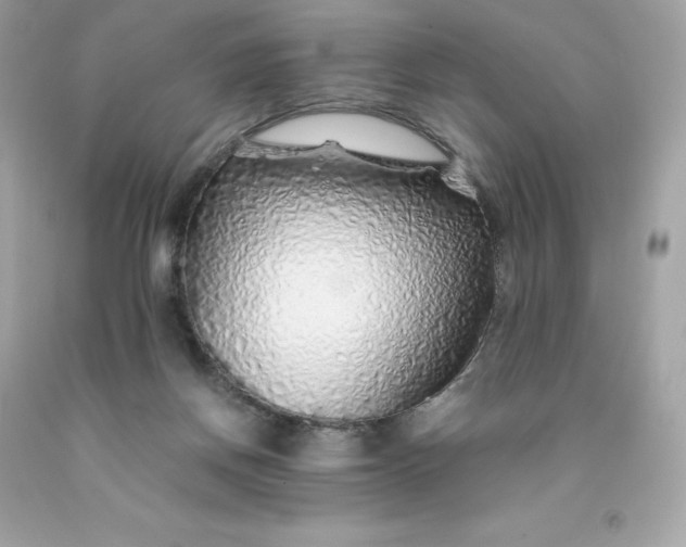 X0000091490166200709061908