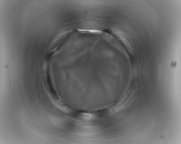 X0000091490167200709061908