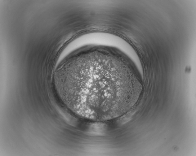X0000091490168200709061908