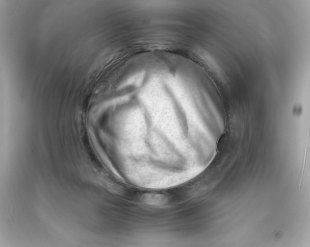 X0000091490169200709061908
