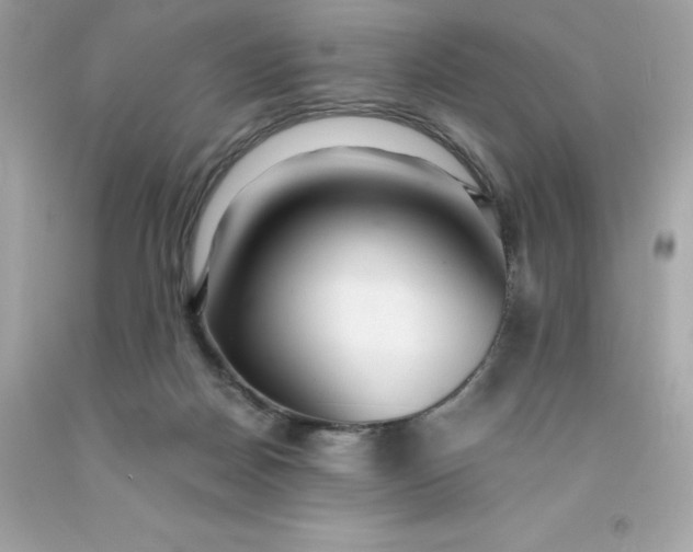 X0000091490170200709061908