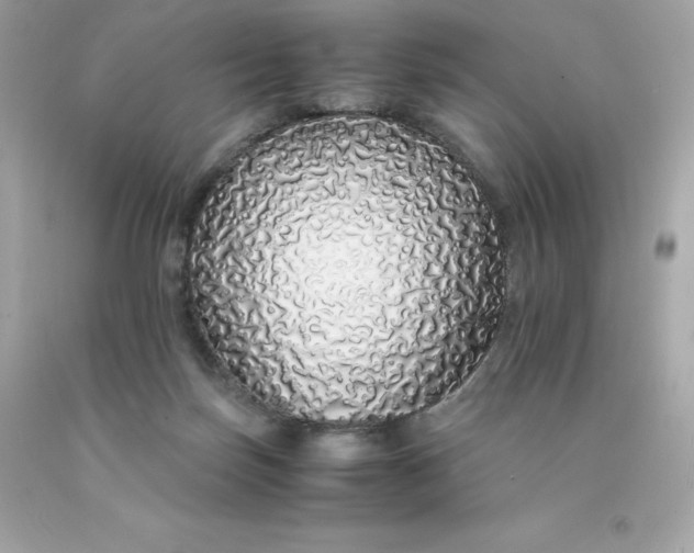 X0000091490171200709061908