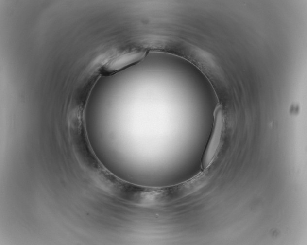 X0000091490172200709061908
