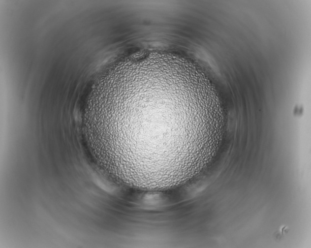 X0000091490173200709061909