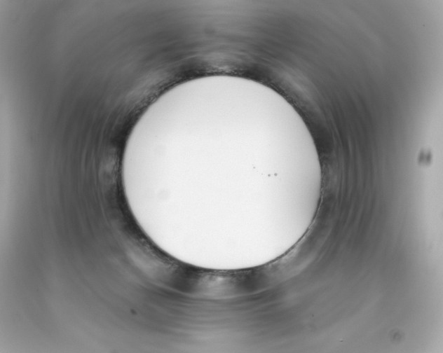 X0000091490174200709061909