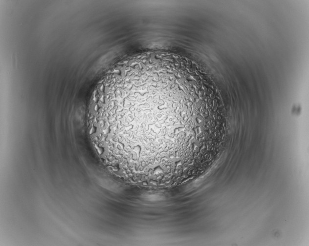 X0000091490175200709061909