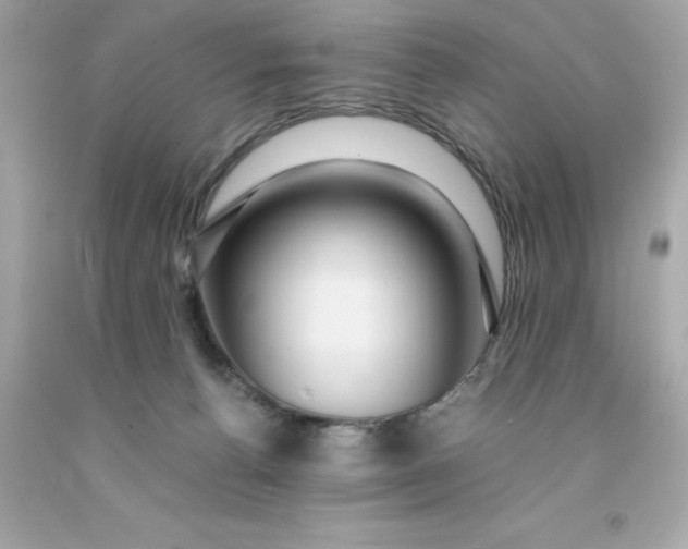 X0000091490176200709061909