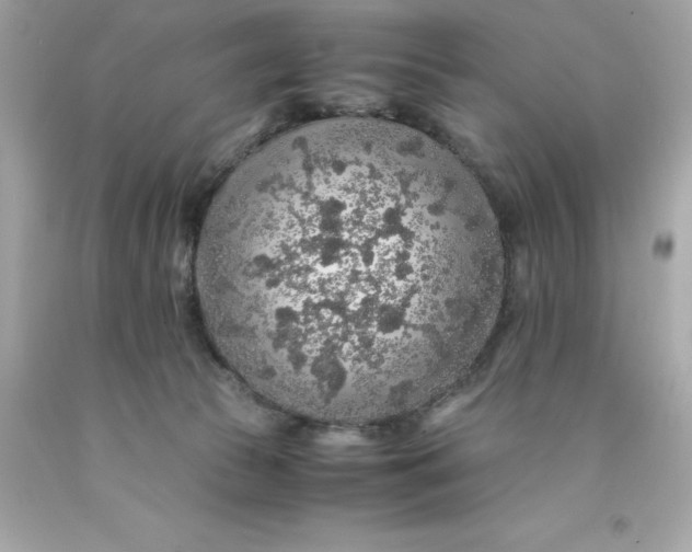 X0000091490177200709061909