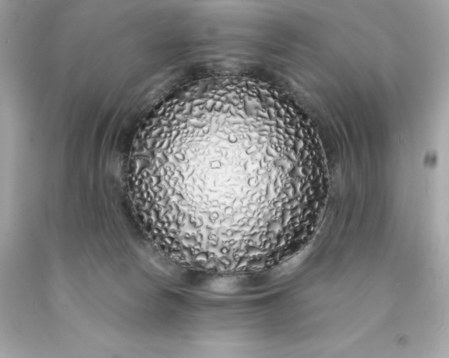 X0000091490178200709061909