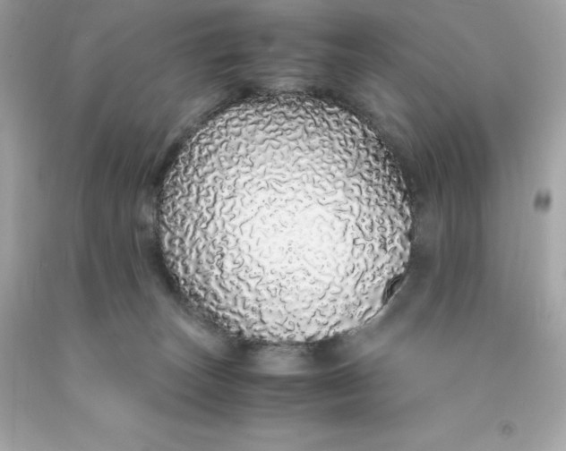 X0000091490179200709061909