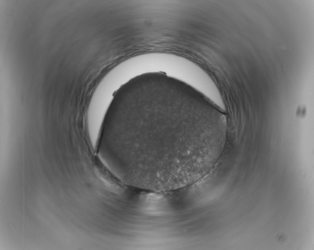 X0000091490180200709061909