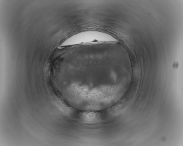 X0000091490181200709061909