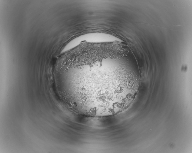 X0000091490182200709061909