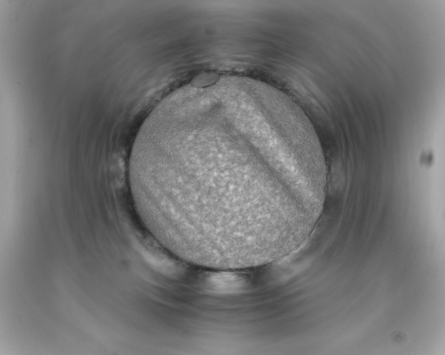X0000091490183200709061909