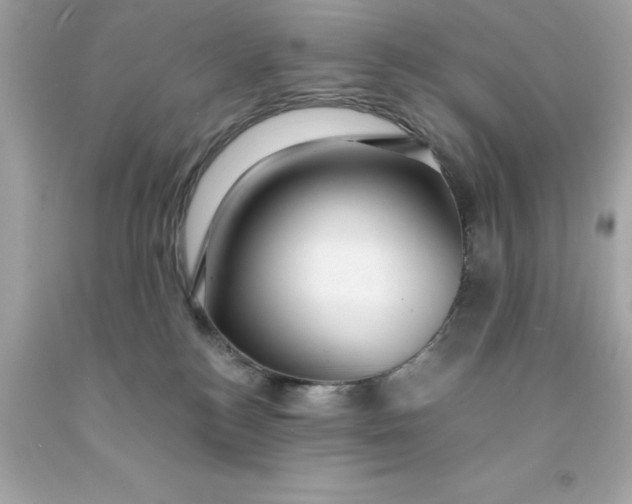 X0000091490184200709061909