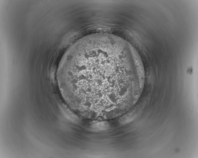 X0000091490185200709061909