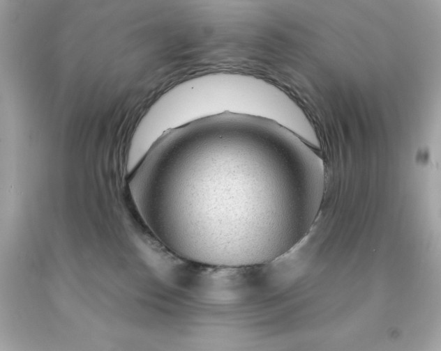 X0000091490186200709061909