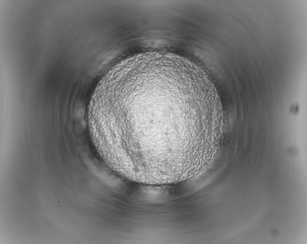 X0000091490187200709061909