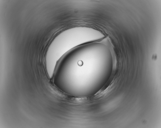X0000091490188200709061909
