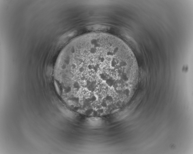 X0000091490189200709061909