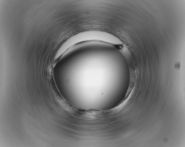 X0000091490190200709061909