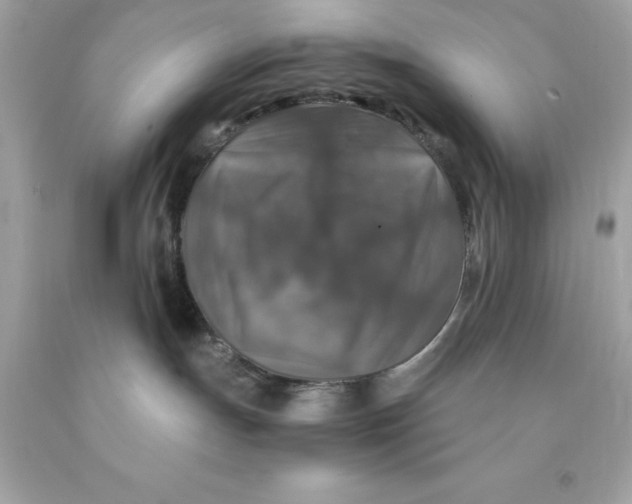 X0000091490191200709061909