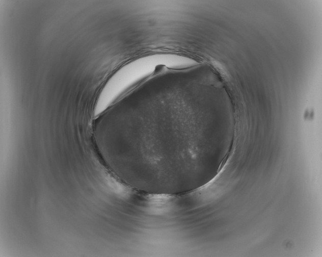 X0000091490192200709061909