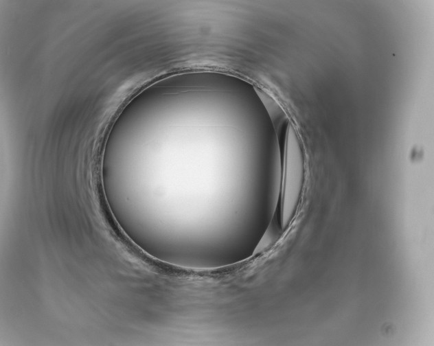 X0000091490193200709061908