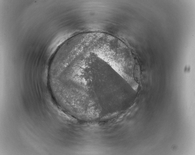X0000091490194200709061908