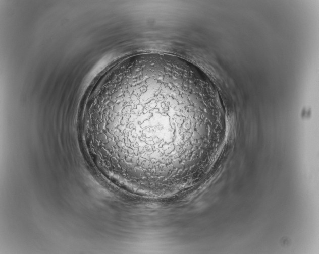 X0000091490195200709061908