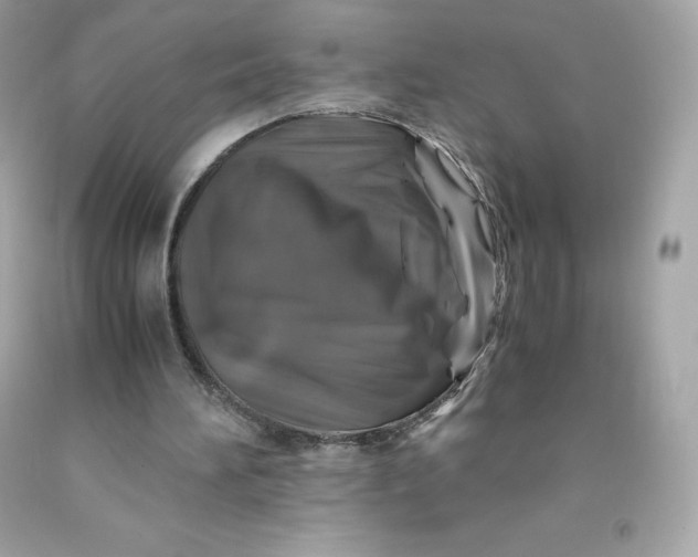 X0000091490196200709061908