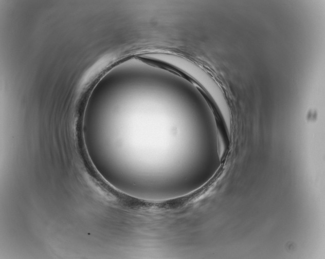 X0000091490197200709061908