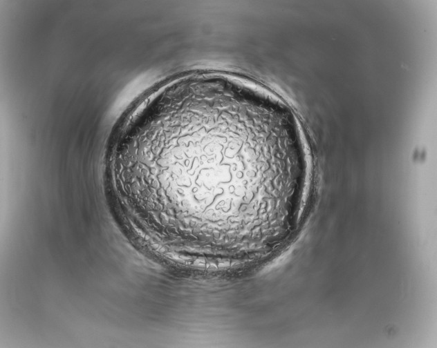 X0000091490199200709061908