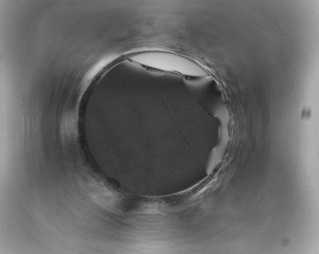 X0000091490200200709061908