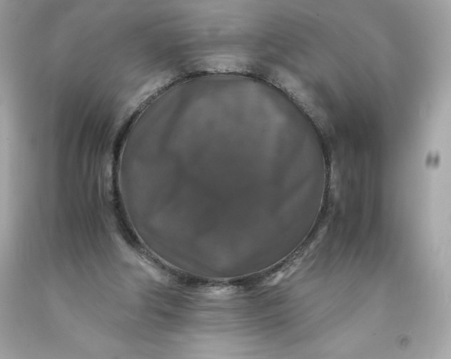 X0000091490202200709061908