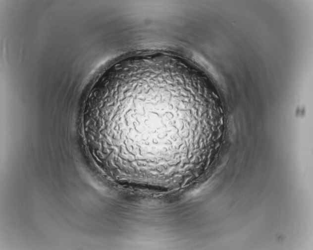 X0000091490203200709061908