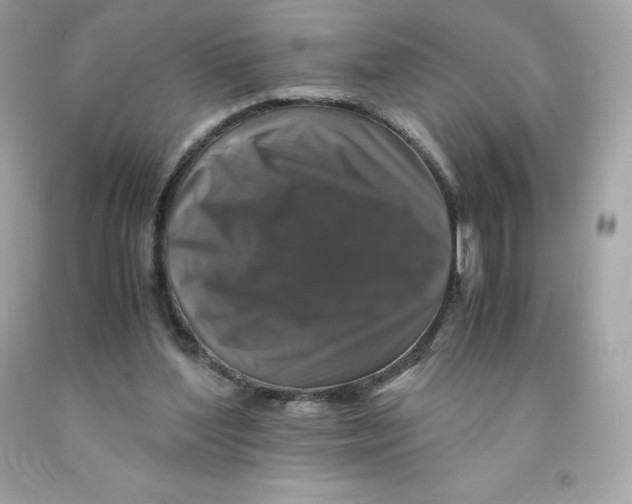 X0000091490204200709061908