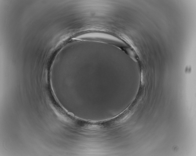 X0000091490205200709061908