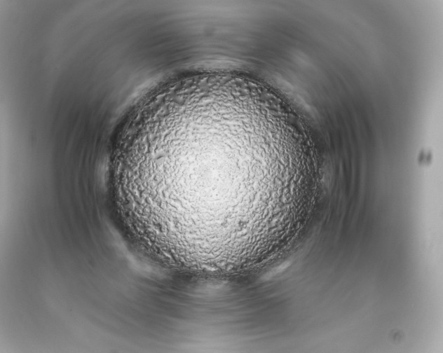 X0000091490206200709061908