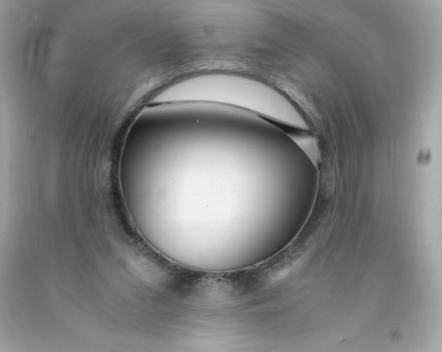X0000091490207200709061908