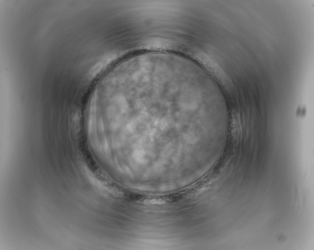 X0000091490208200709061908