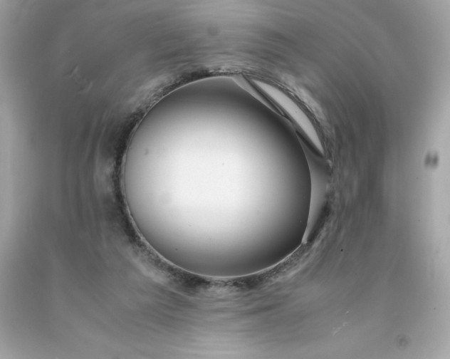 X0000091490209200709061908